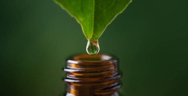 Aromathérapie scientifique intégrée
